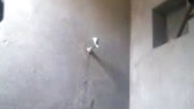 अश्लील ऑनलाइन नोंदणी नाही बांगला चित्रपट मुलगी 29 पाहणे चिक करून चुलत भाऊ अथवा बहीण