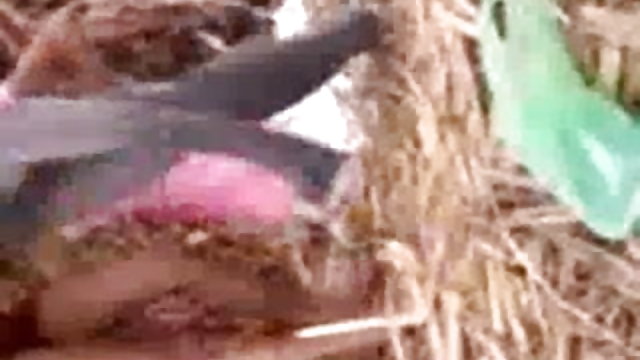 अश्लील ऑनलाइन नोंदणी नाही गरम मुलगी तिच्या क्षेत्रात