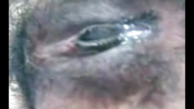 अश्लील ऑनलाइन नोंदणी नाही बांगलादेशी निळा चित्रपट इंग्रजी निळा चित्रपट फोटो