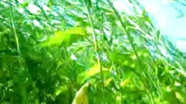 अश्लील ऑनलाइन नोंदणी नाही भारतीय मादक स्त्री वन