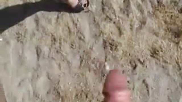 अश्लील ऑनलाइन नोंदणी नाही सनी निळा वैशिष्ट्य लिऑन, तिच्या पती वर बीच